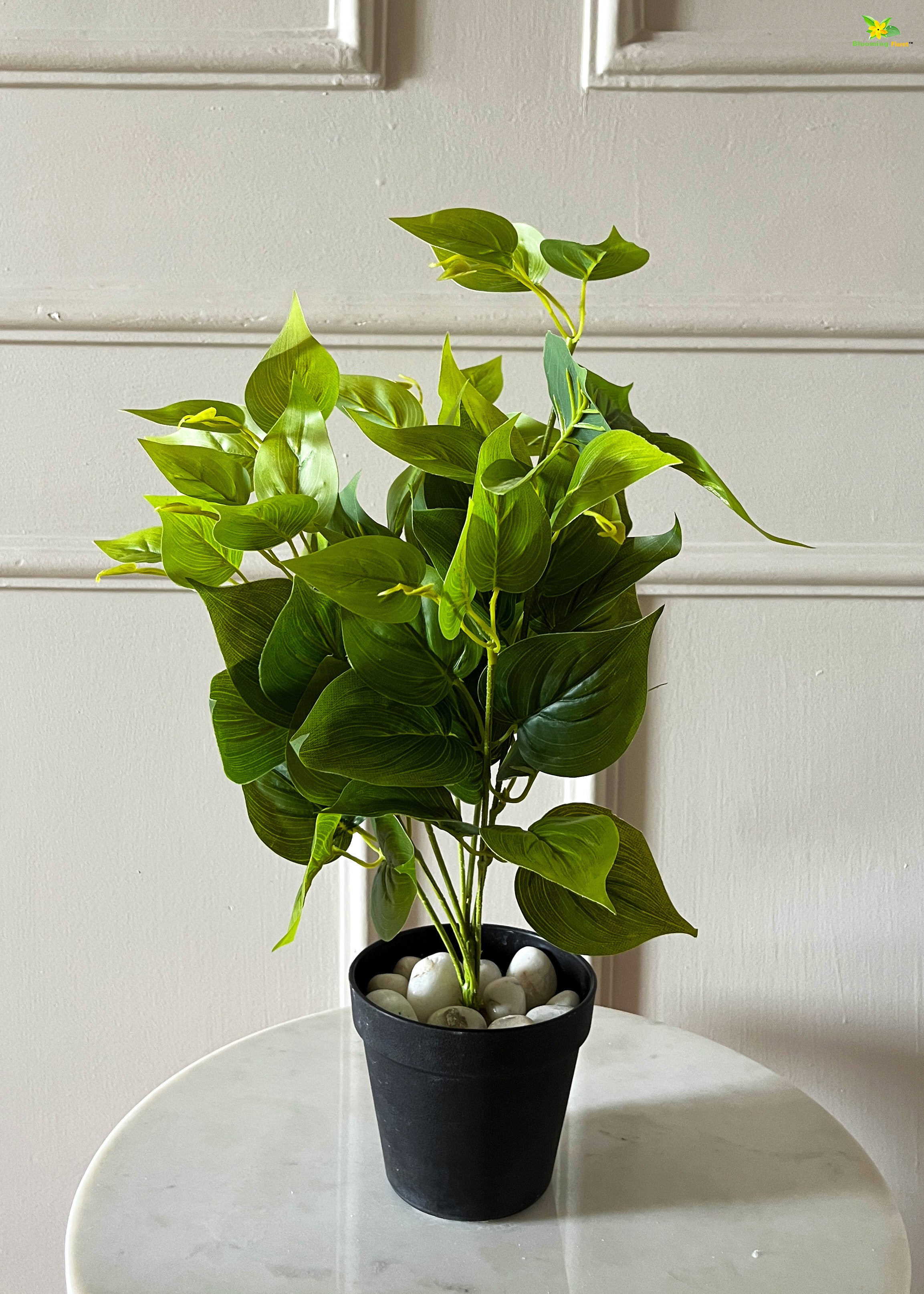 Artificial Jade Pothos for Decor | with Basic Pot | 48.3 cm