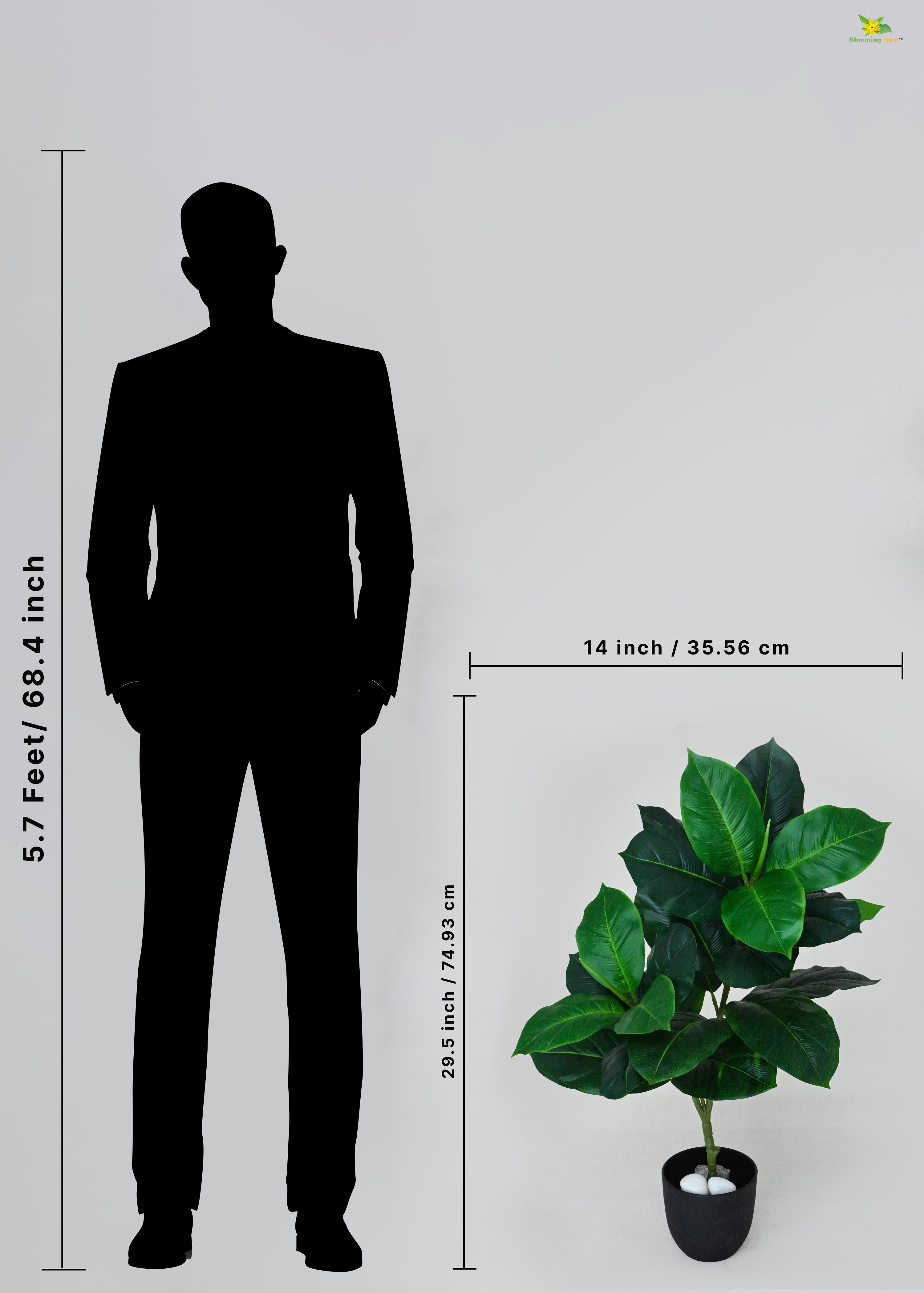 Artificial Rubber Fig Plant for Decor | 24 Leaves with Basic Pot | 74.9 cm