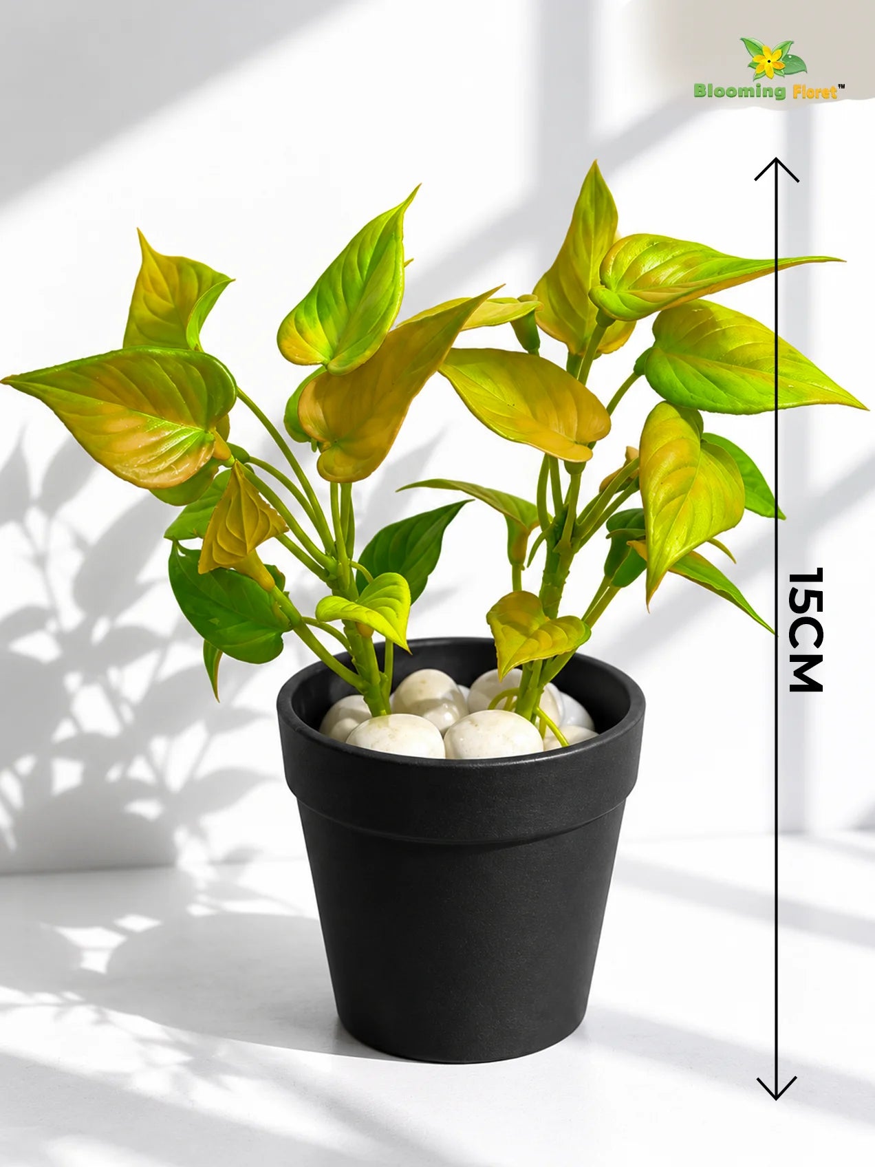 Artificial Money Plant Succulent | Army Green | 15 cm