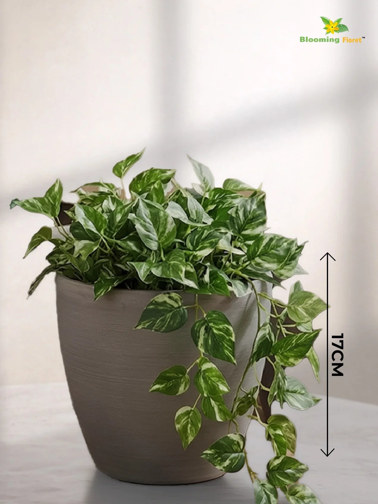 Decorative Pots | Light Brown | 17 cm