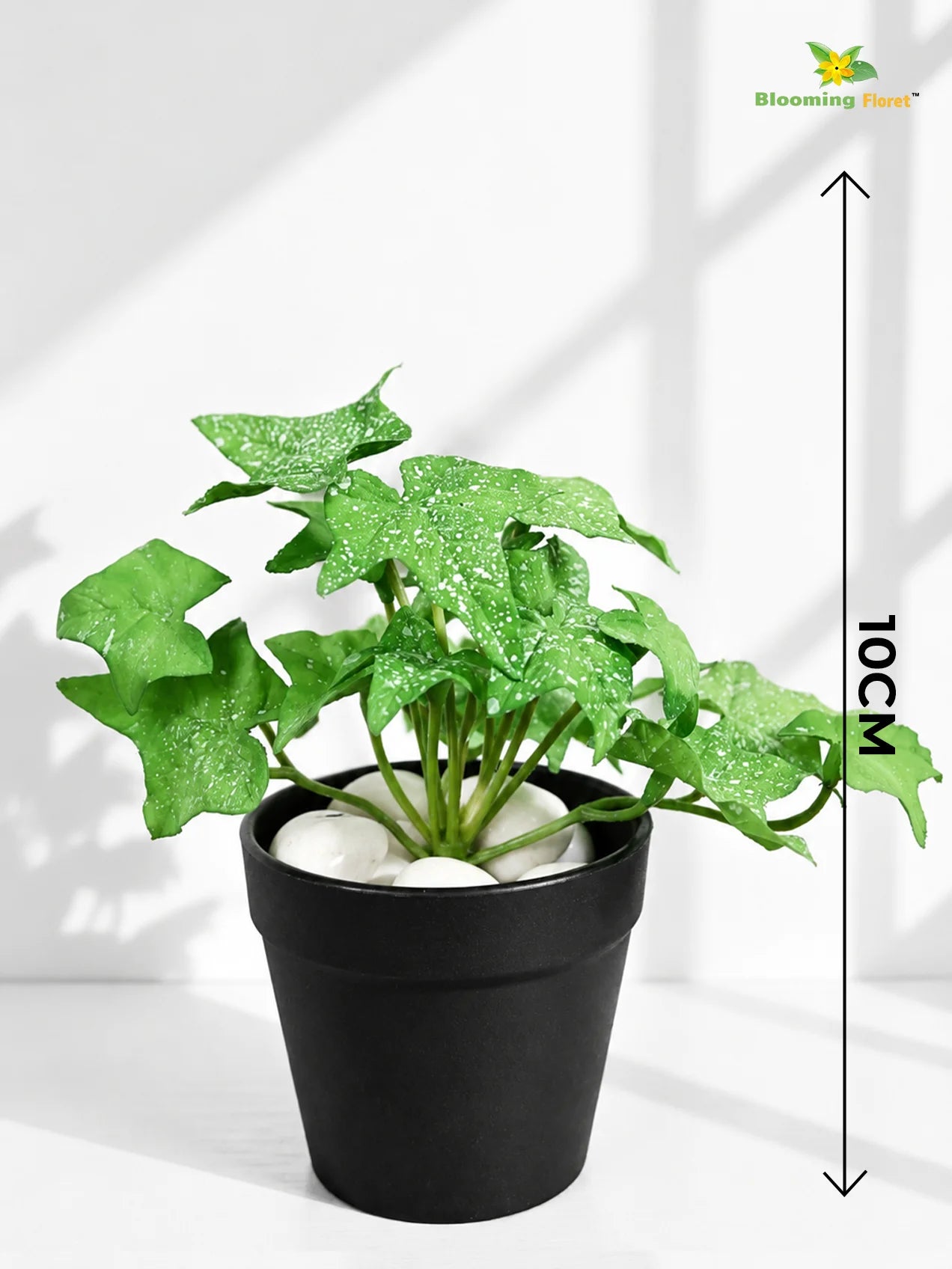 Artificial Ivy Succulent | Green & White Patterned Leaves | 10 cm | Set of 3