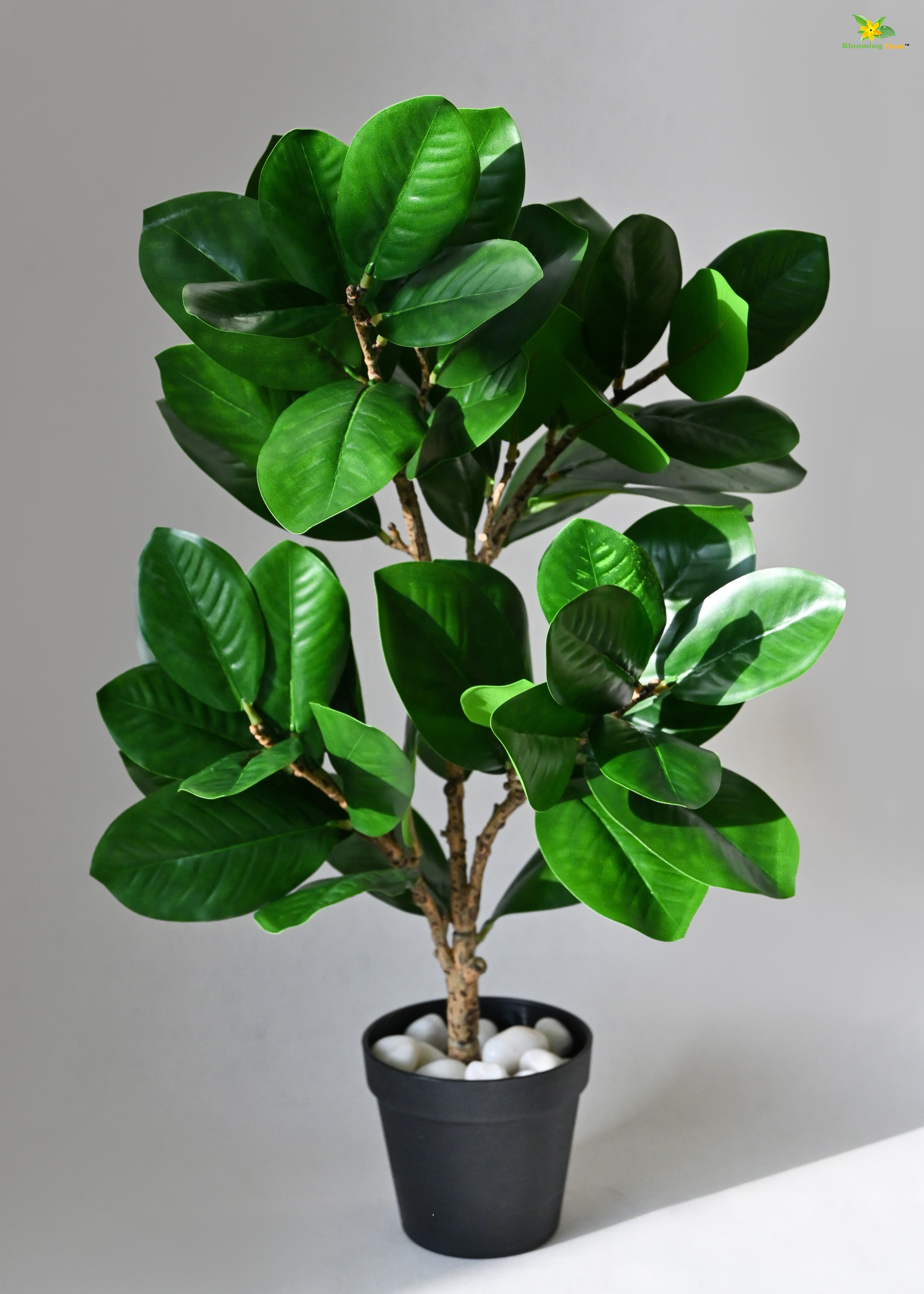 Artificial Fig Plant for Decor | 52 Leaves with Basic Pot | 68.5 cm