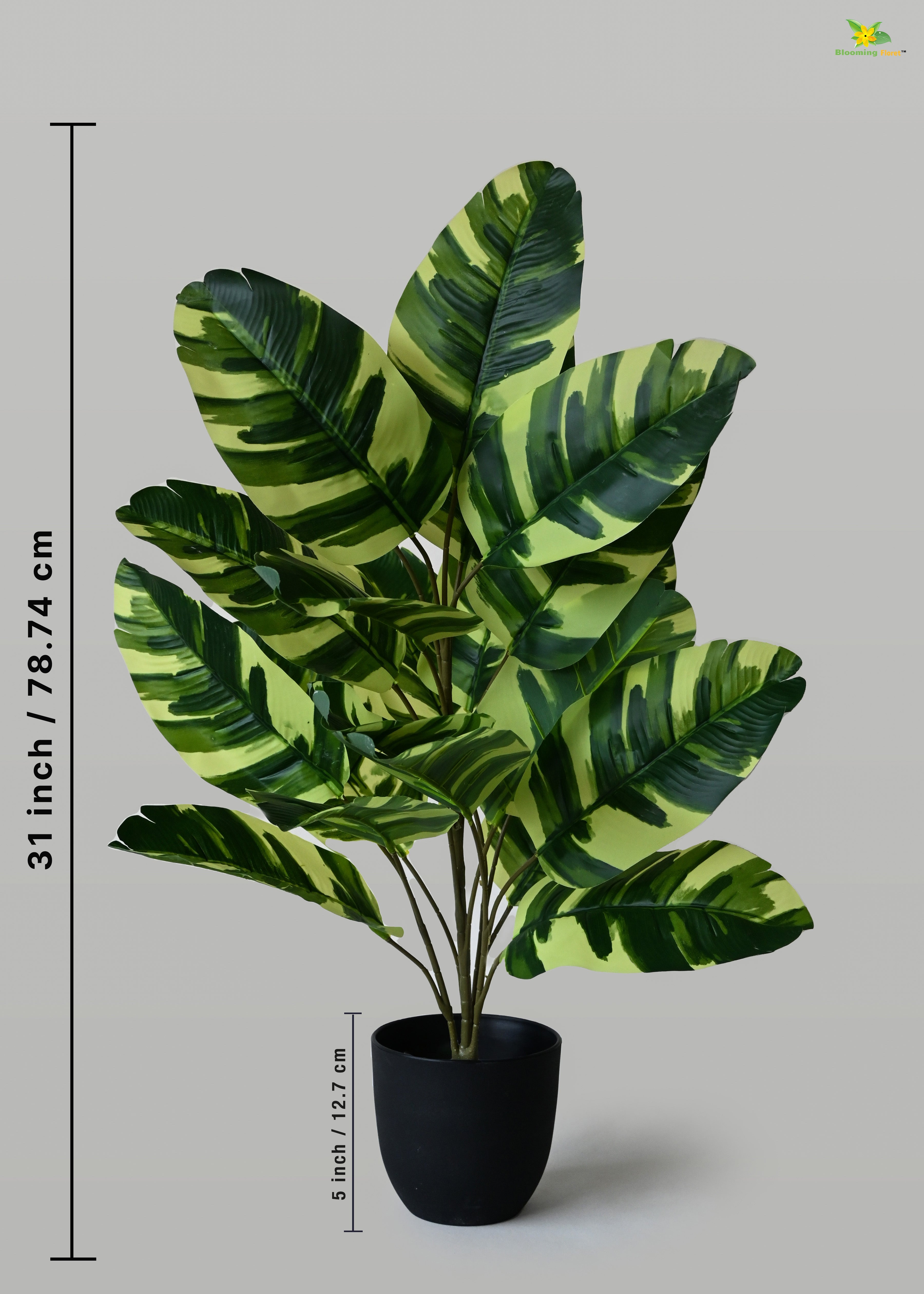 Artificial Calathea Zebrina Plant for Decor | 21 Leaves with Basic Pot | 78.7 cm