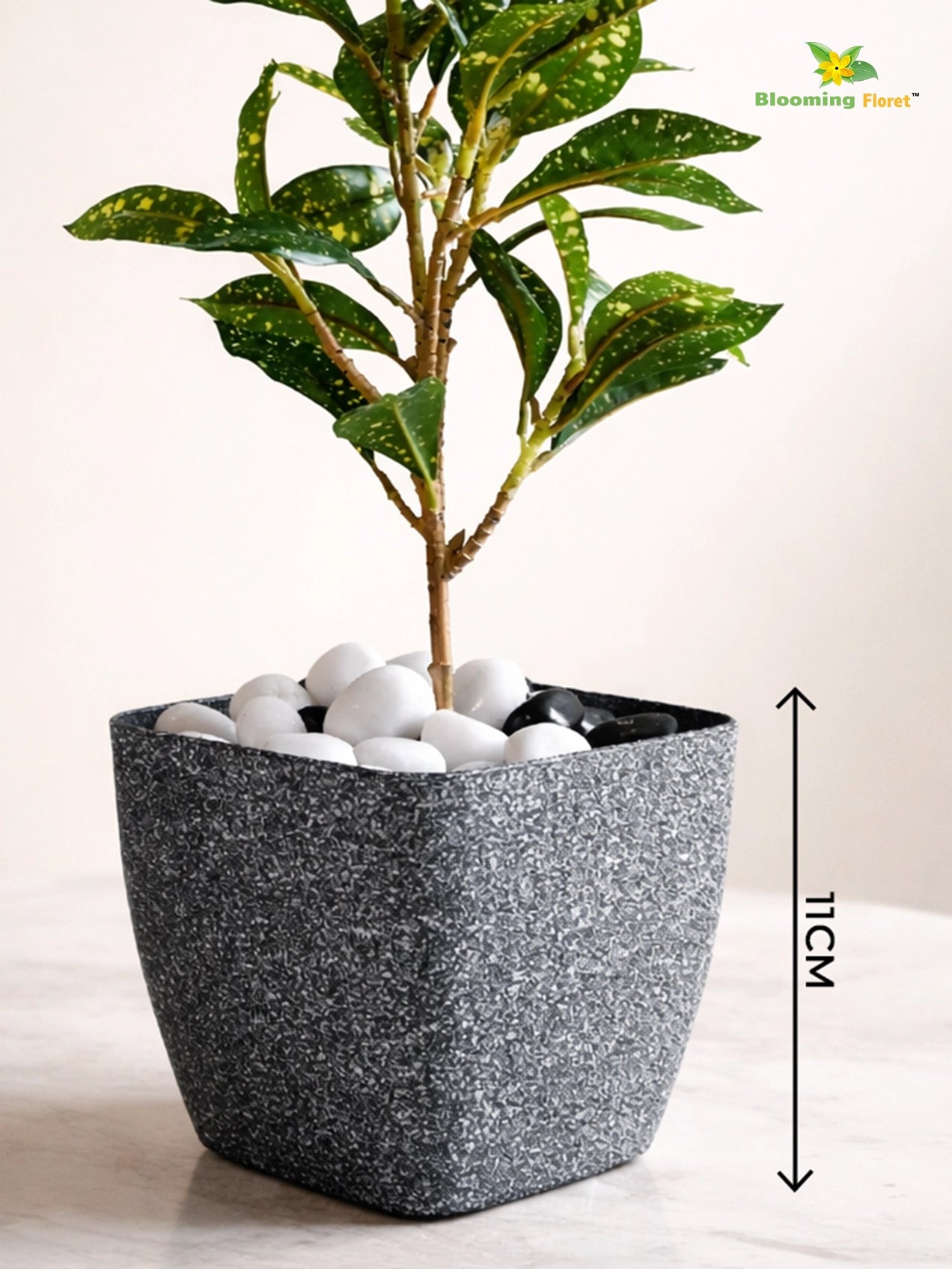 Coarse Textured Square Planter Pot | 10 cm
