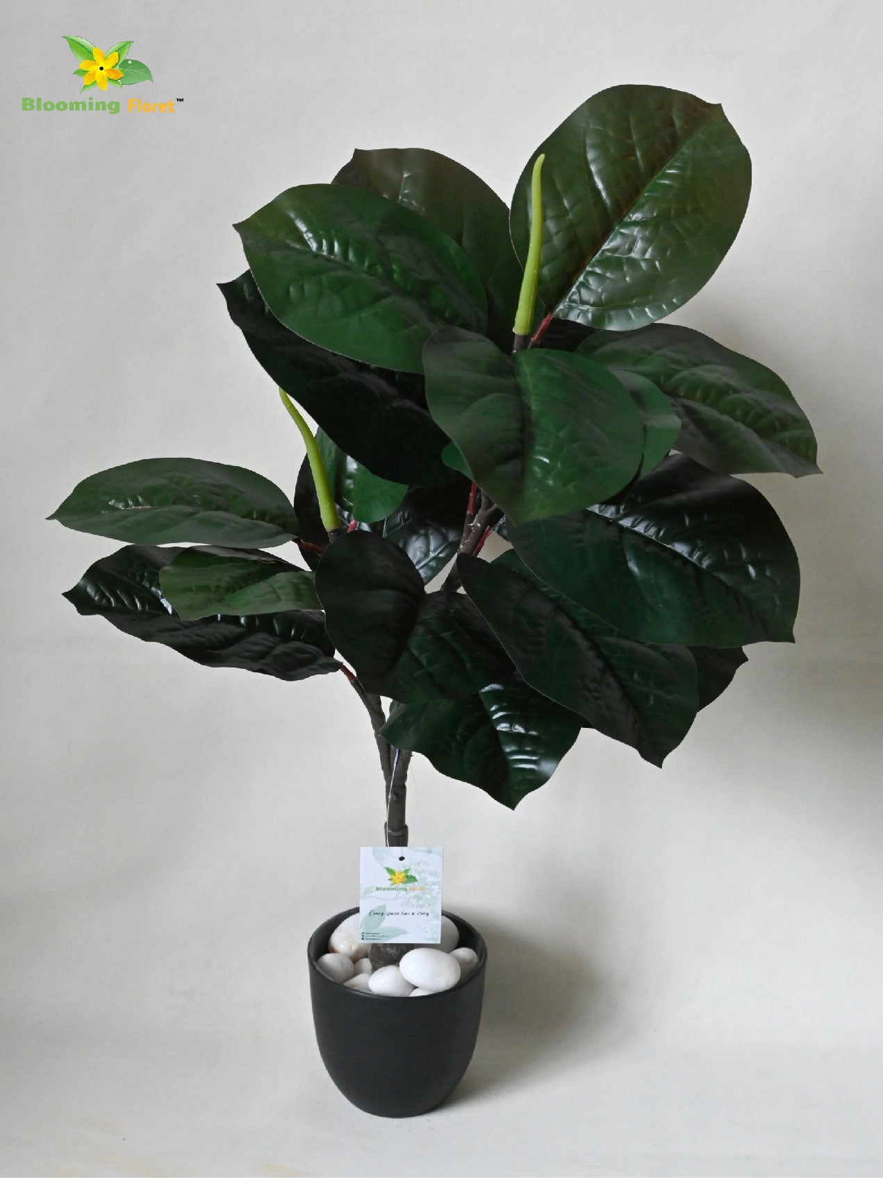 Artificial Wax Plant – 71 cm, 18 Dark Green Leaves, with Basic Pot