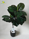 Artificial Wax Plant – 71 cm, 18 Dark Green Leaves, with Basic Pot