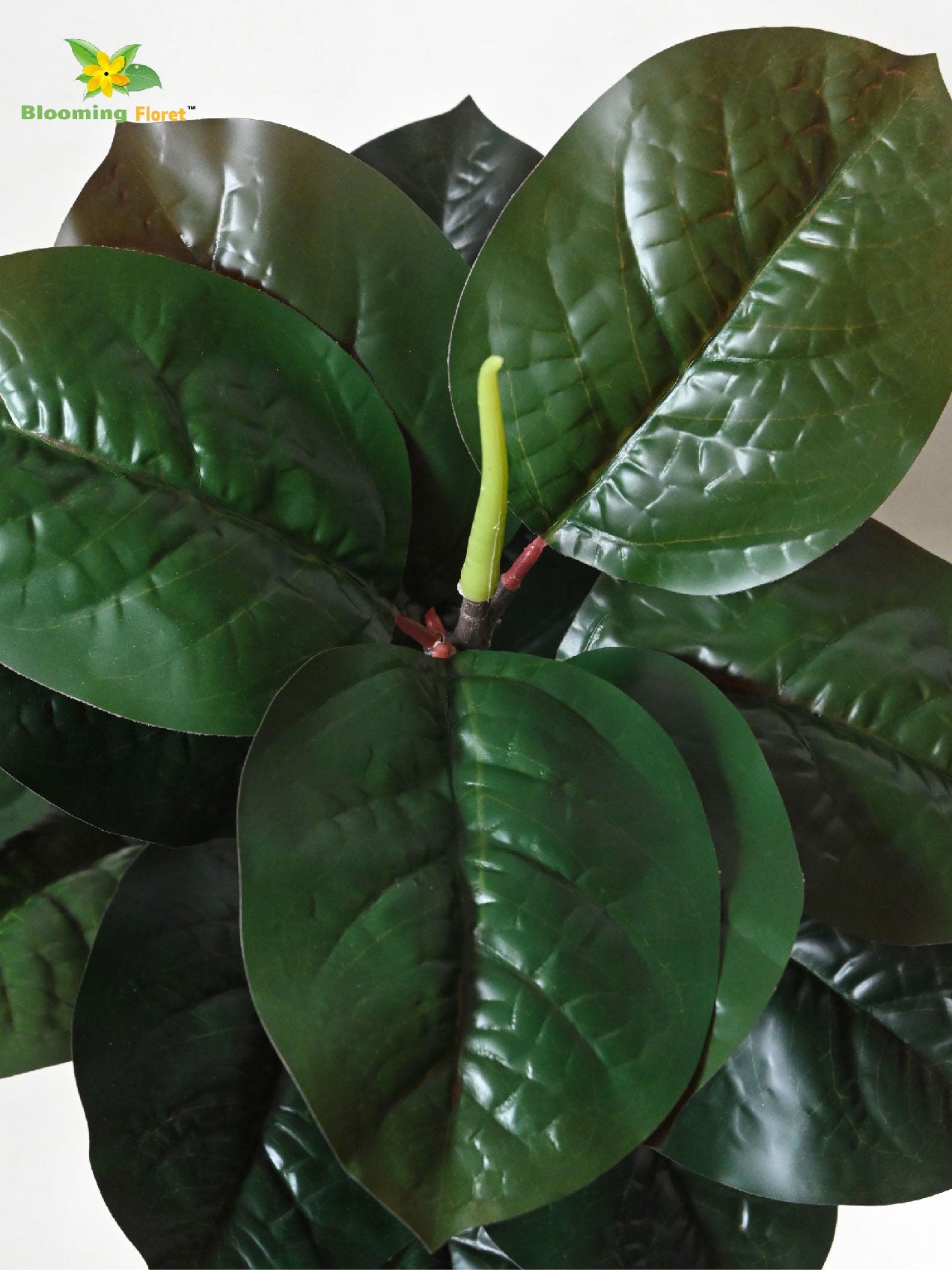 Artificial Wax Plant – 71 cm, 18 Dark Green Leaves, with Basic Pot