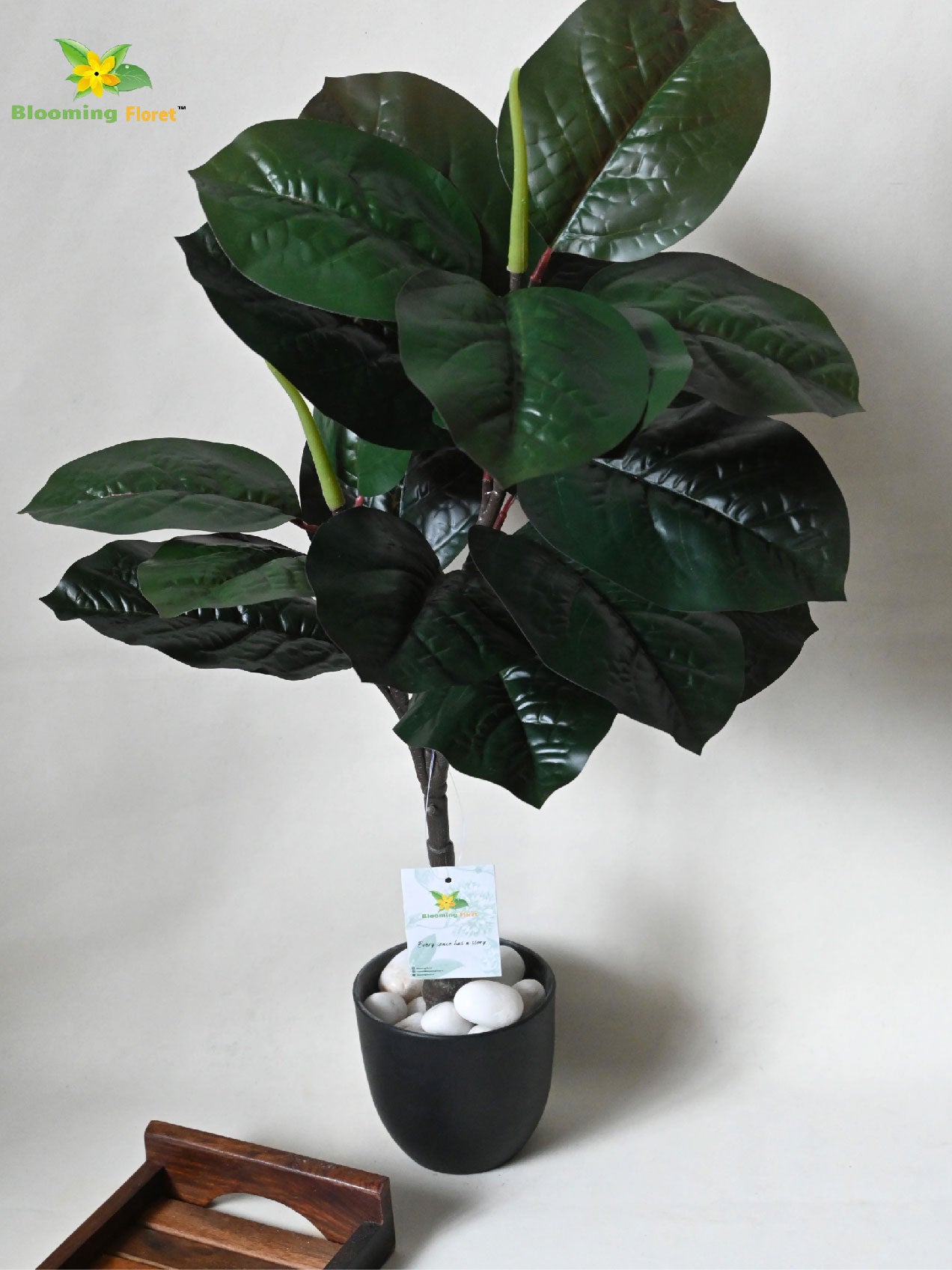 Artificial Wax Plant – 71 cm, 18 Dark Green Leaves, with Basic Pot