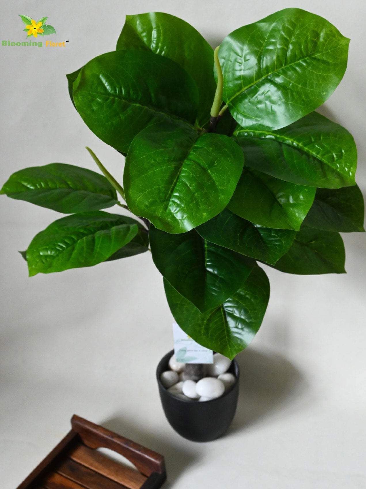 Artificial Wax Plant – 71 cm, 18 Green Leaves, with Basic Pot
