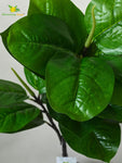 Artificial Wax Plant – 71 cm, 18 Green Leaves, with Basic Pot