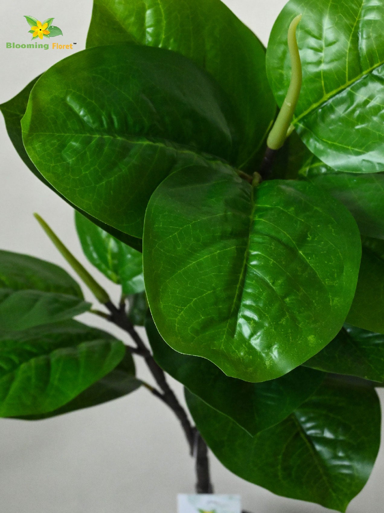 Artificial Wax Plant – 71 cm, 18 Green Leaves, with Basic Pot