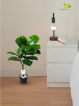 Artificial Wax Plant – 71 cm, 18 Green Leaves, with Basic Pot