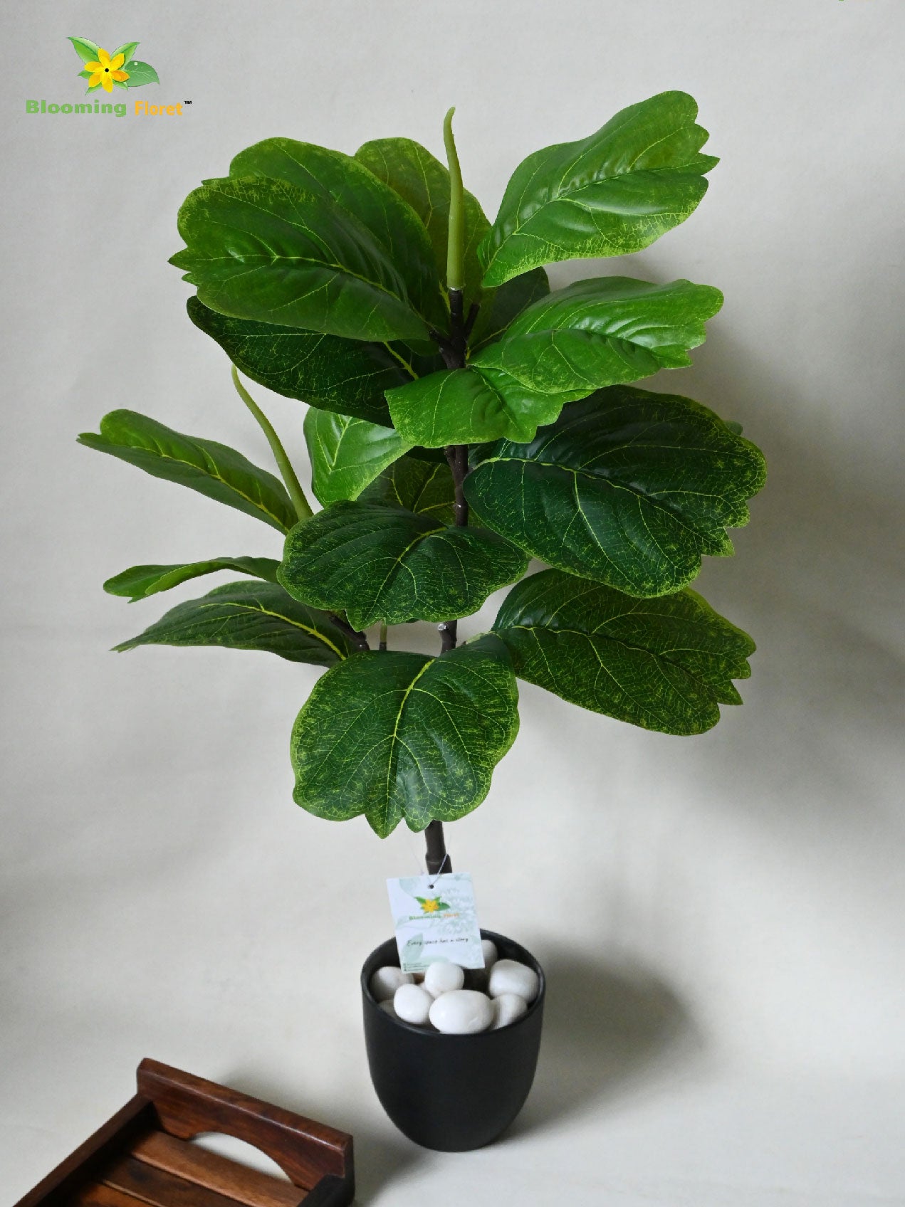 Artificial Fiddle-Leaf Fig Plant | 63 cm | 18 Leaves | With Basic Pot