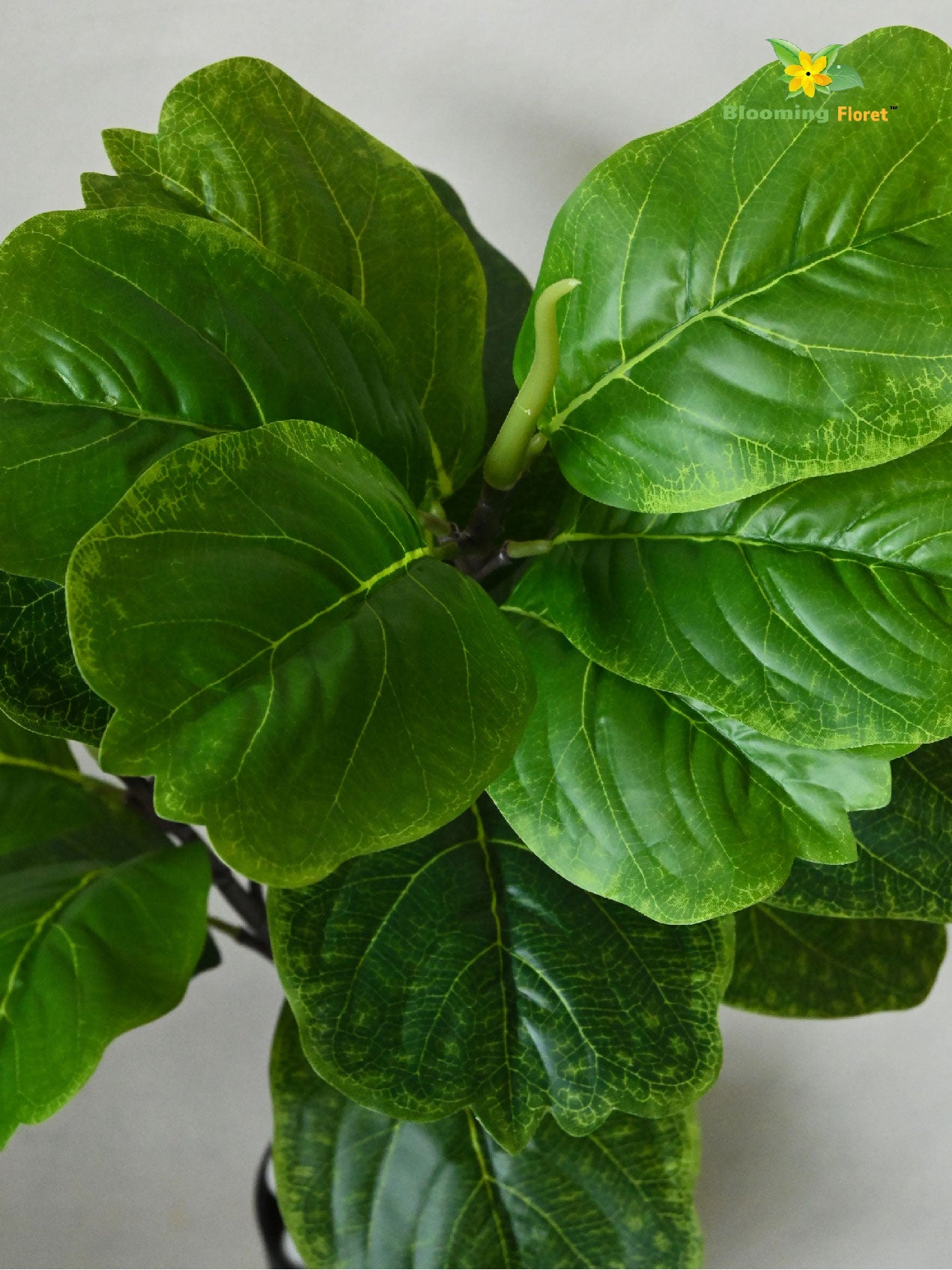 Artificial Fiddle-Leaf Fig Plant | 63 cm | 18 Leaves | With Basic Pot
