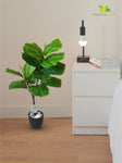 Artificial Fiddle-Leaf Fig Plant – 71.1 cm, 18 Leaves, with Basic Pot