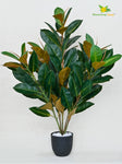 Artificial Rubber Plant – 85 cm, 104 Green and Yellow Leaves, with Basic Pot