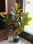 Artificial Rubber Plant – 85 cm, 104 Green and Yellow Leaves, with Basic Pot