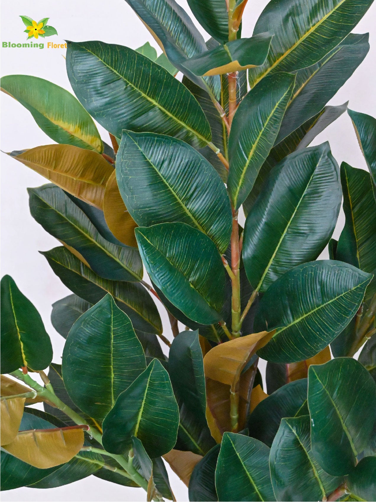 Artificial Rubber Plant – 85 cm, 104 Green and Yellow Leaves, with Basic Pot