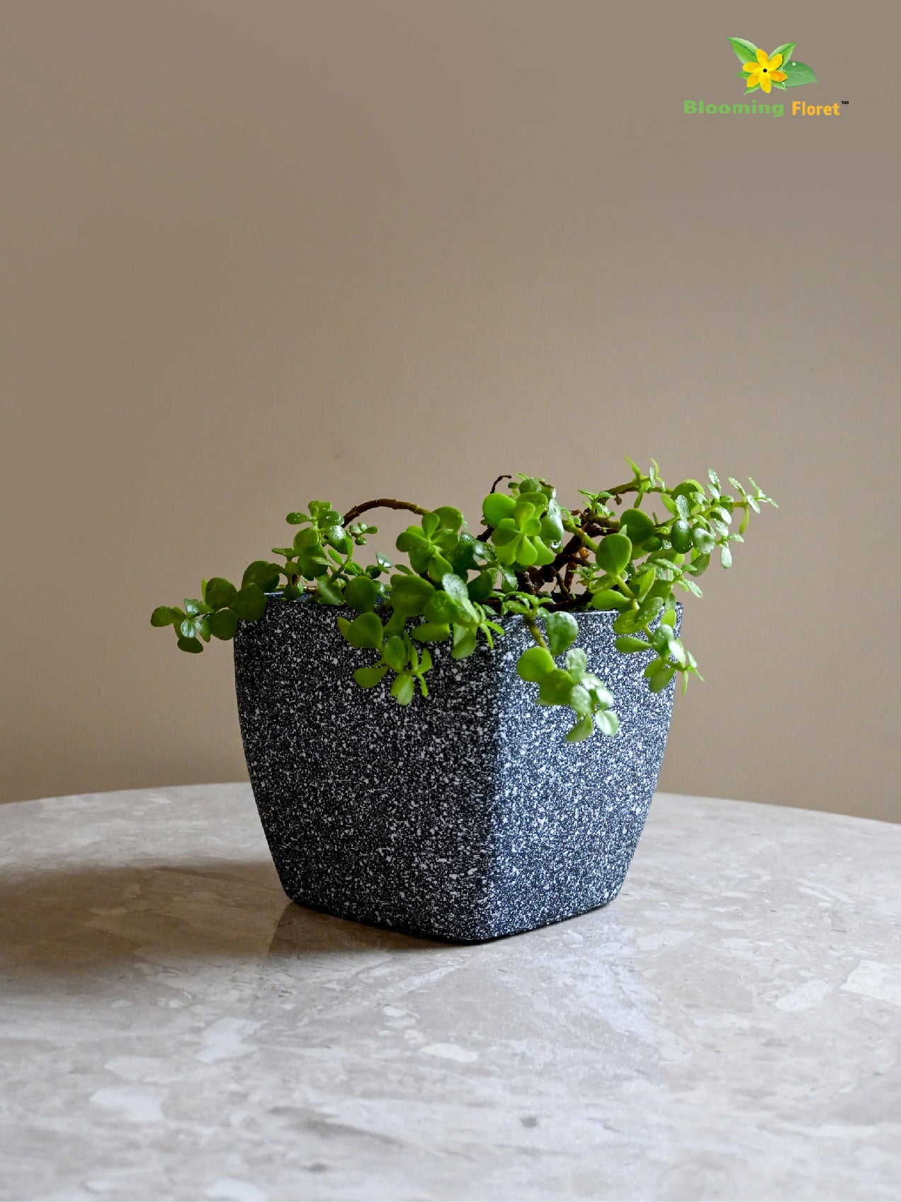 Coarse Textured Square Planter Pot
