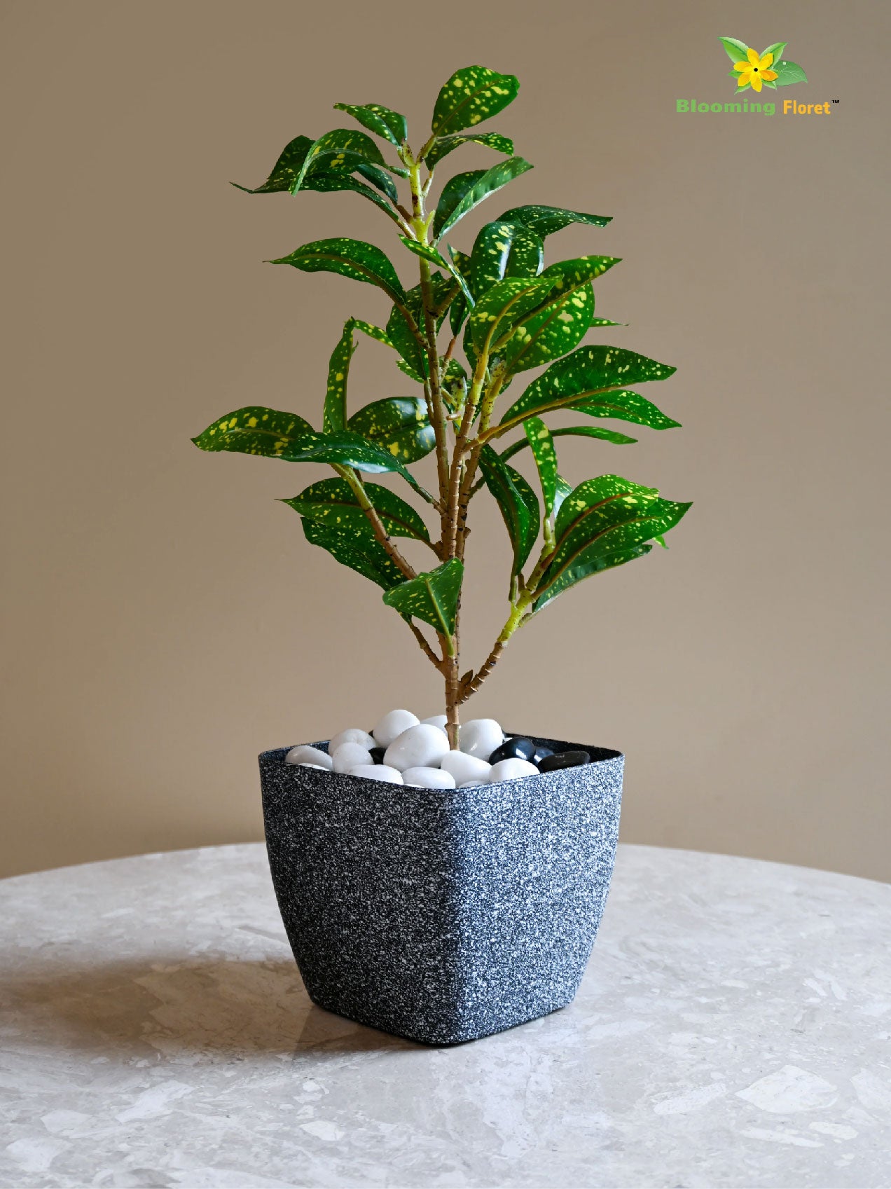 Coarse Textured Square Planter Pot