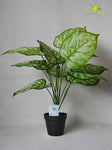 Artificial Devil Ivy Plant – 65 cm, with Basic Pot