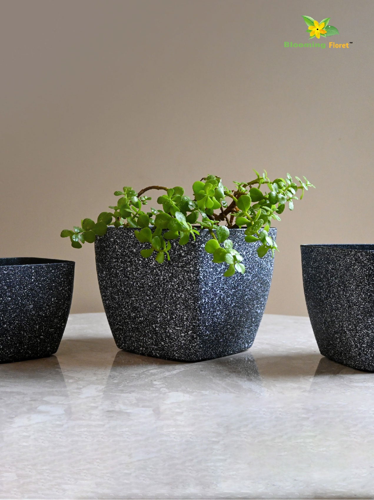 Coarse Textured Square Planter Pot
