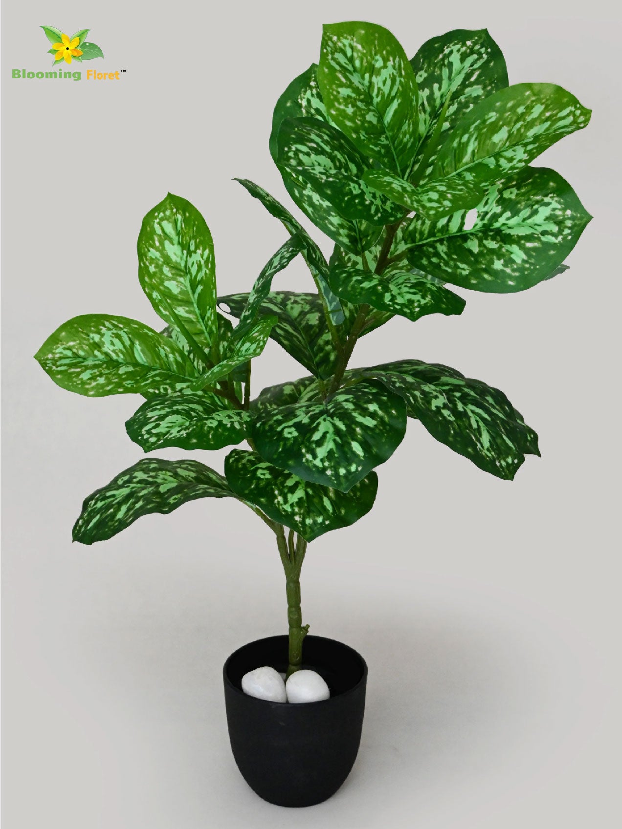Artificial Aglaonema Plant – 74.9 cm, 24 Leaves, with Basic Pot