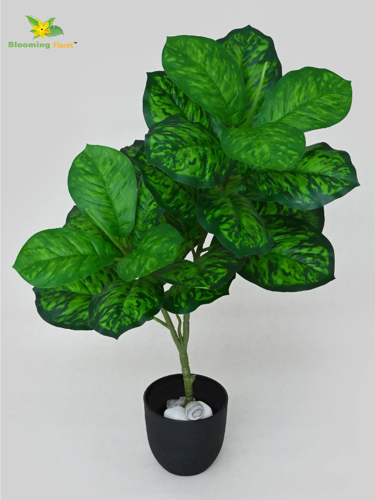 Artificial Dieffenbachia Seguine Plant – 74 cm, 24 Leaves, with Basic Pot