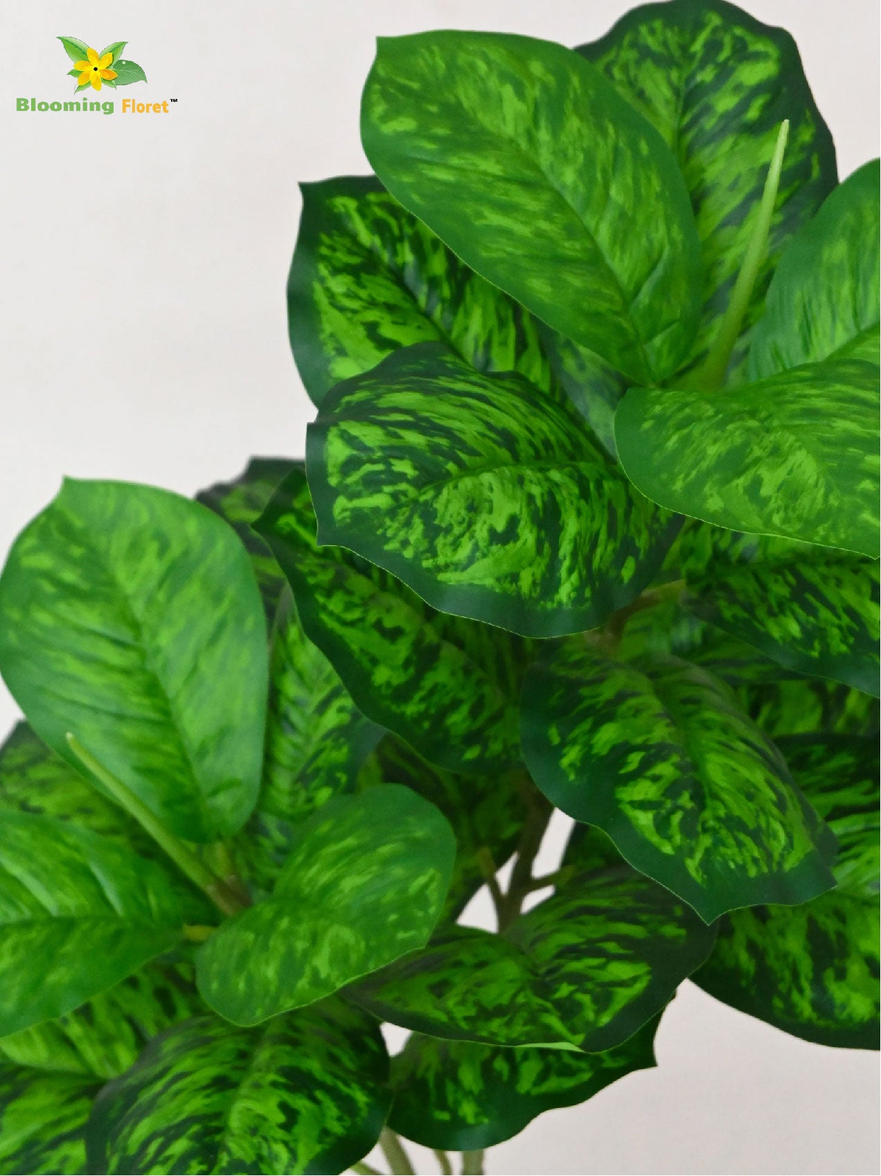 Artificial Dieffenbachia Seguine Plant – 74 cm, 24 Leaves, with Basic Pot