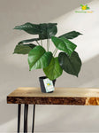 Artificial Philodendron Plant – 50.8 cm, 12 Green Leaves, with Basic Pot