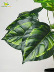 Artificial Philodendron Plant – 50.8 cm, 12 Patterned Green Leaves, with Basic Pot