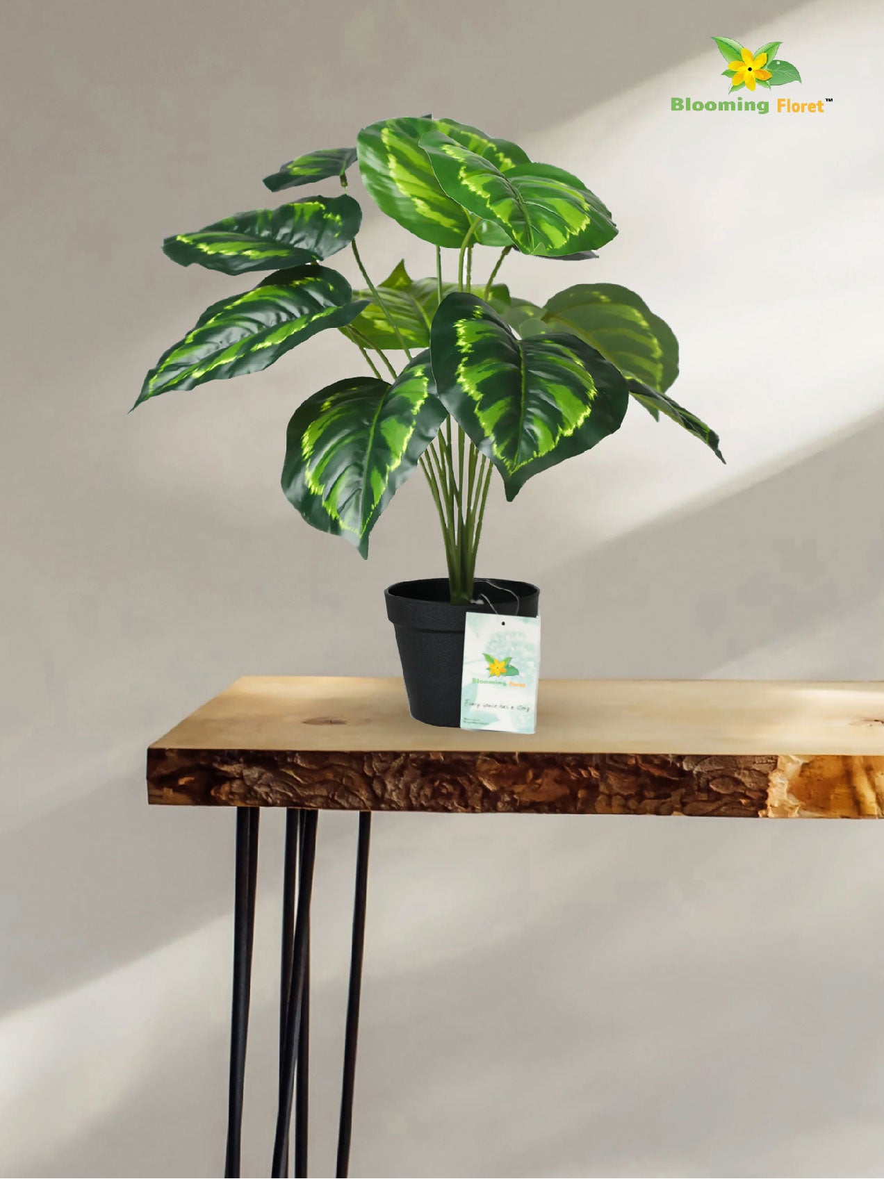 Artificial Philodendron Plant | Patterned Green Leaves | 50 cm | 12 Leaves | With Basic Pot