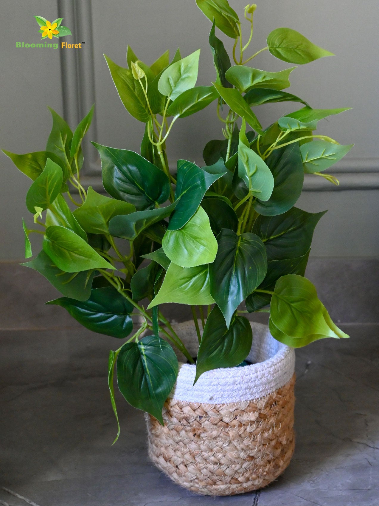 Artificial Jade Pothos Plant | 45 cm | With Basic Pot