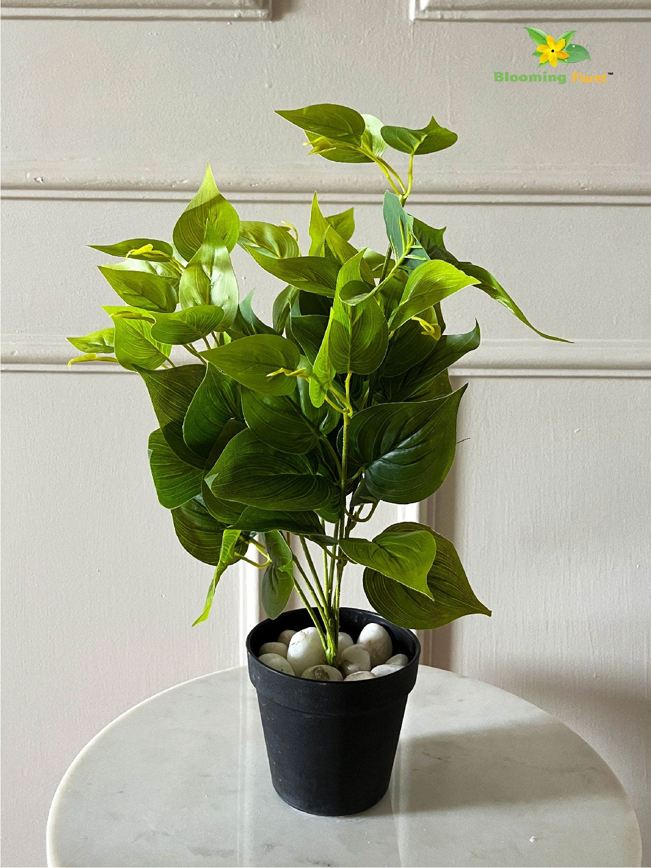 Artificial Jade Pothos Plant | 45 cm | With Basic Pot