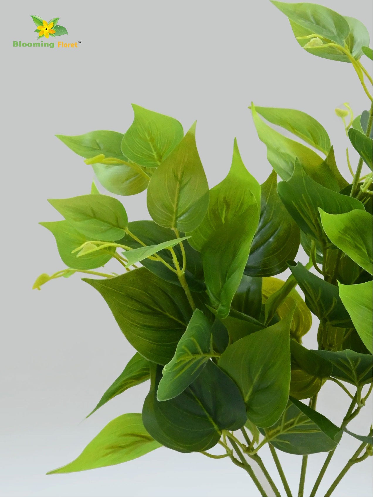 Artificial Jade Pothos Plant | 45 cm | With Basic Pot