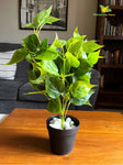 Artificial Jade Pothos – 48 cm, with Basic Pot