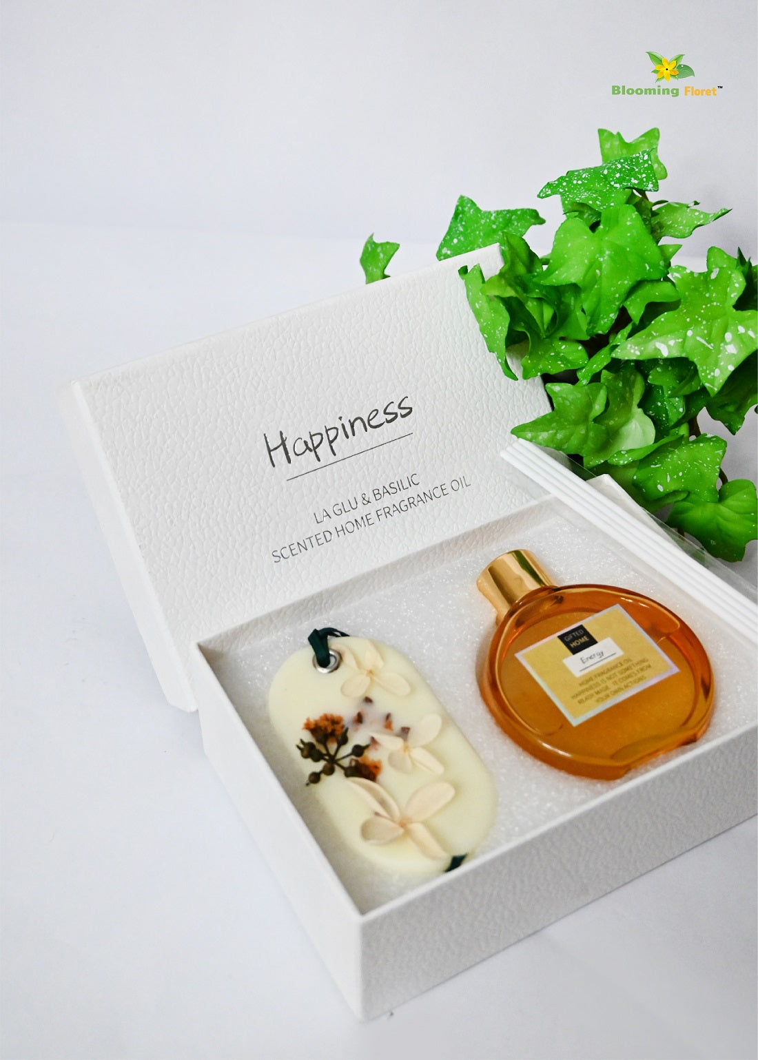 Reed Fragrance Diffuser with Air Freshener | 7 cm