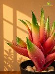 Artificial Aloe Vera Plant | Green & Maroon Leaves | 24 cm