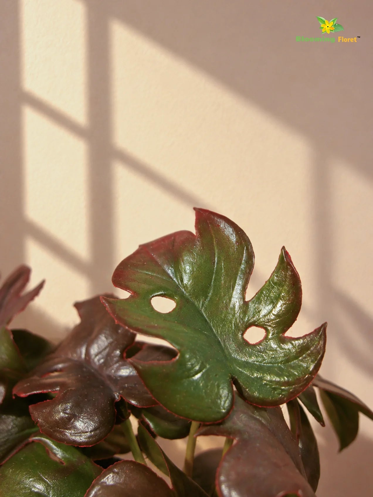 Artificial Mini Monstera Succulent | Maroon | 15 cm