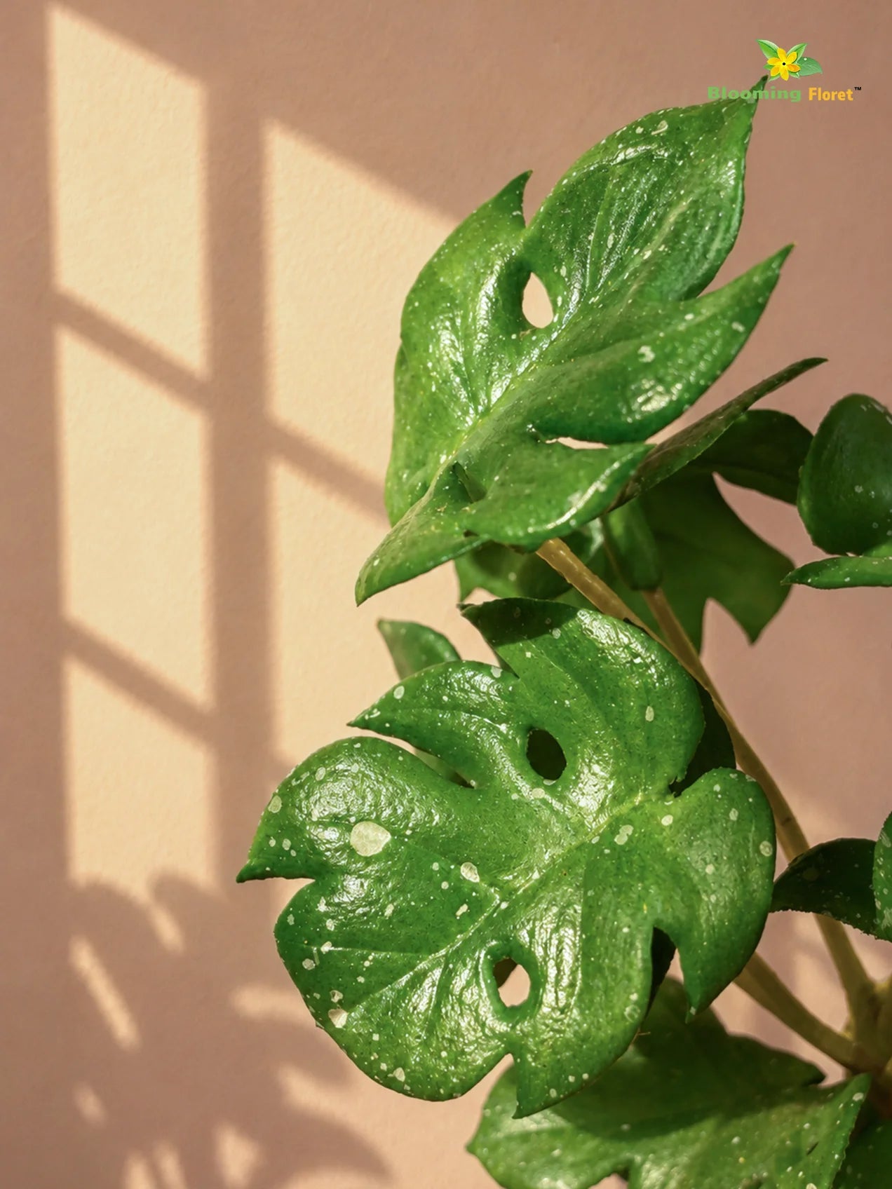 Artificial Mini Monstera Succulent | Light Green | 15 cm