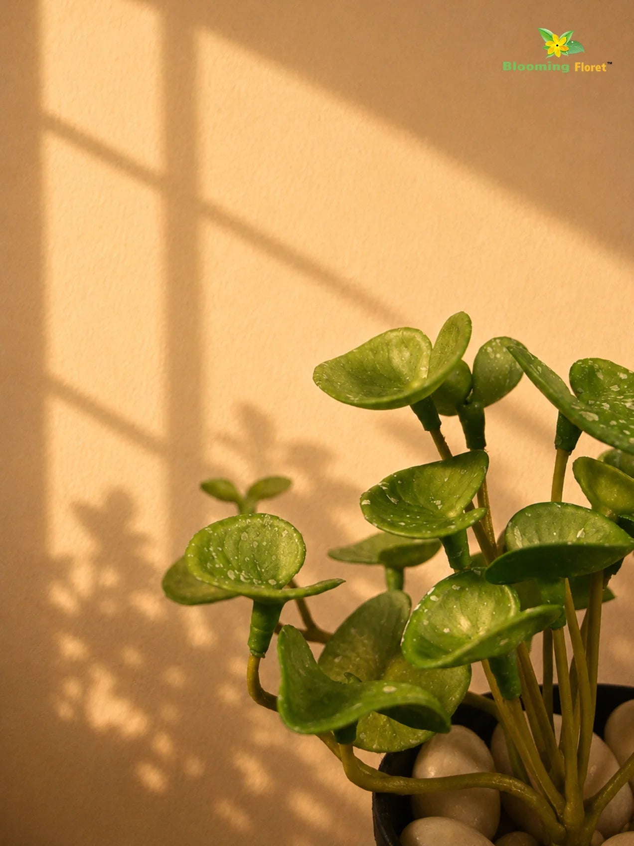 Lush Leaf Pennywort Artificial Succulent | Light Green & White Patterned | 14 cm