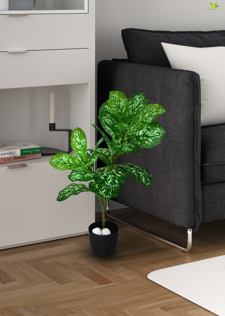 Artificial Aglaonema Plant for Decor | 24 Leaves with Basic Pot | 74.9 cm