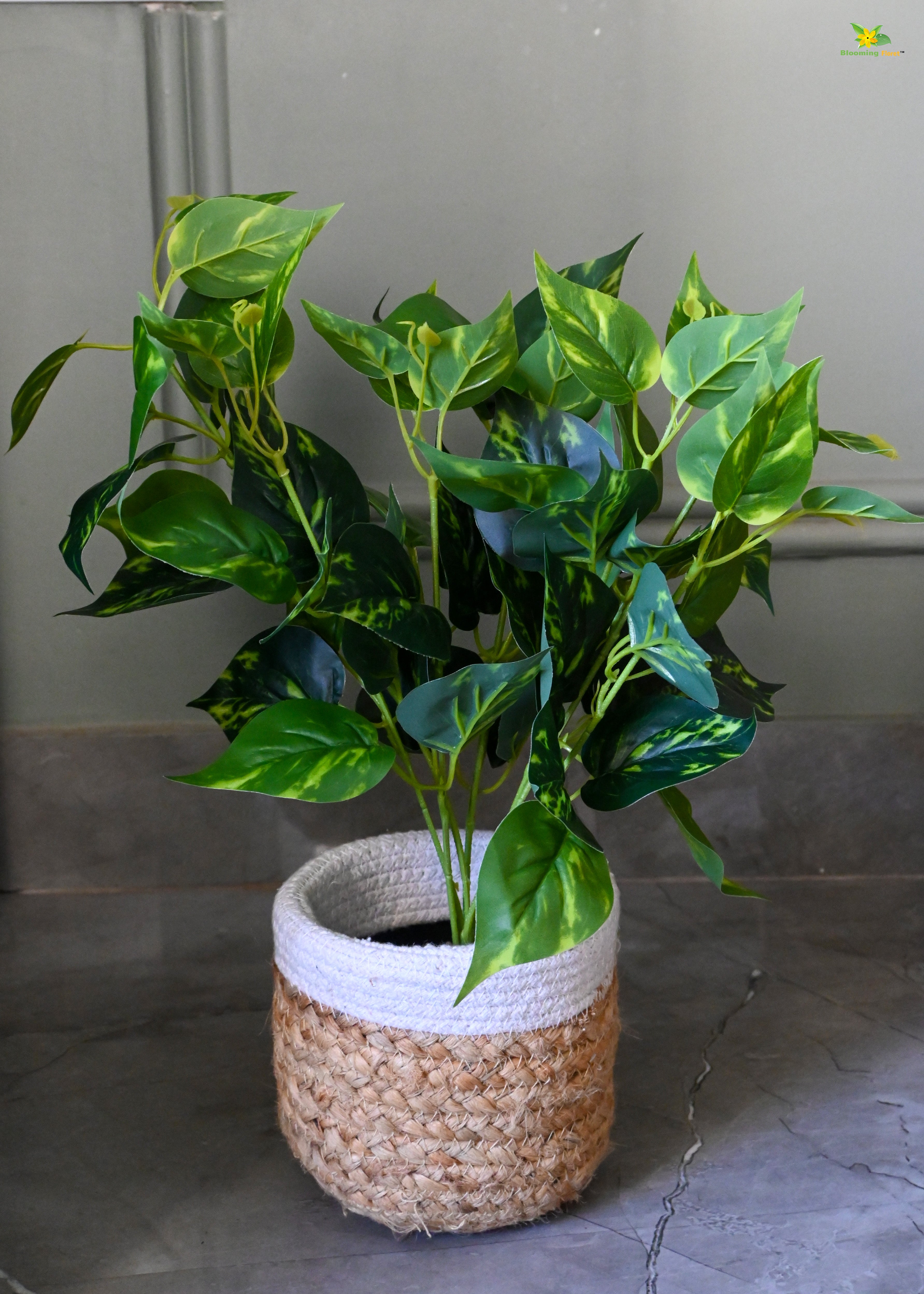 Artificial Golden Pothos for Decor | with Basic Pot | 48.3 cm