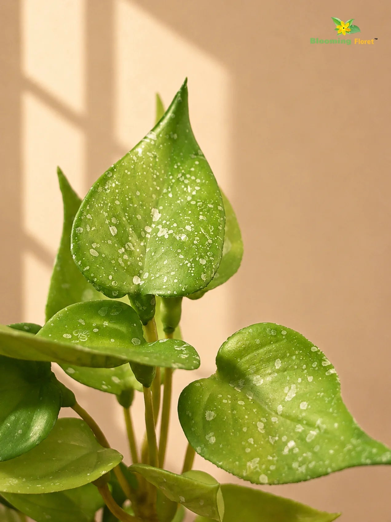 Artificial Money Plant Succulent | Light Green | 15 cm
