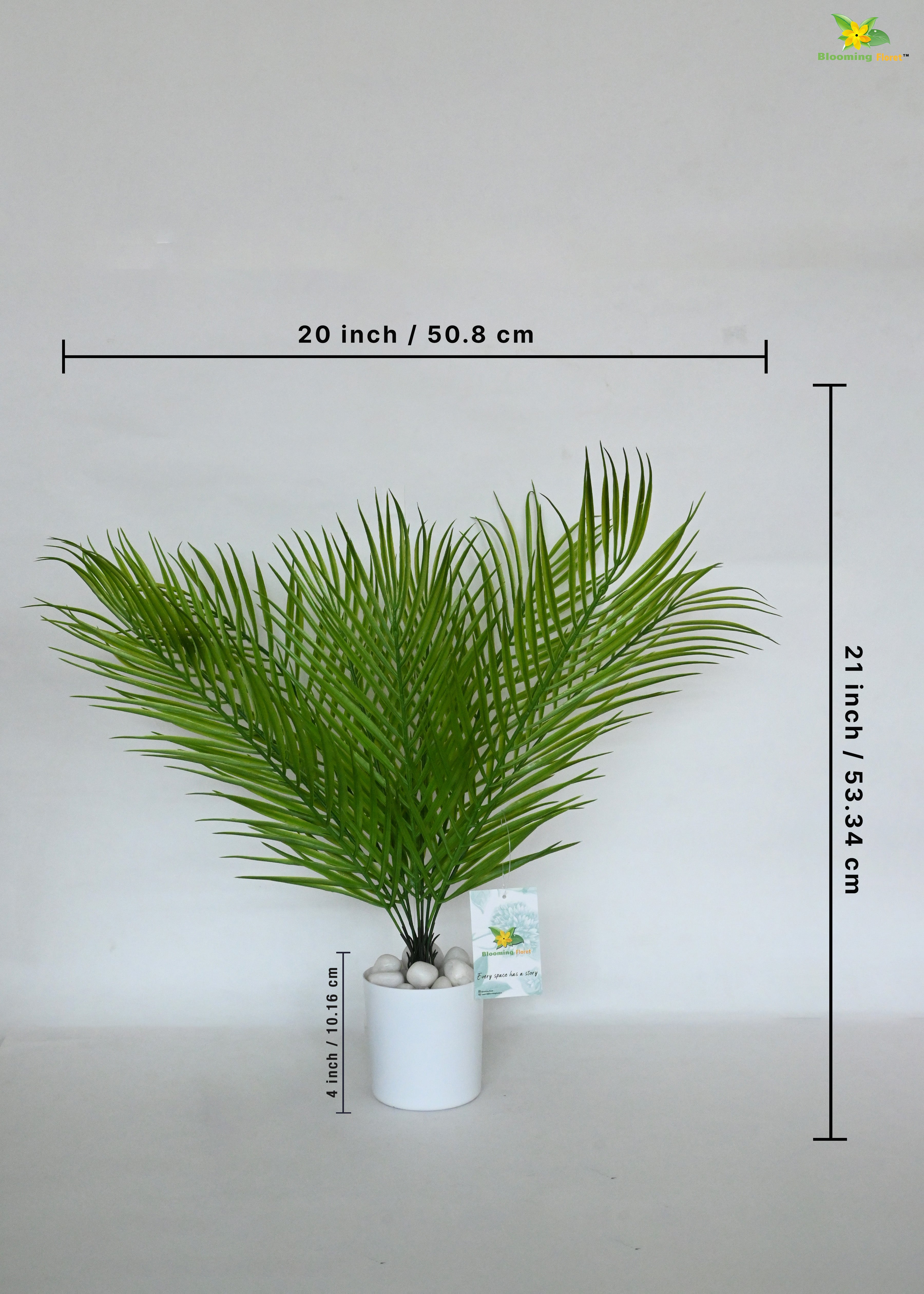 Eternal Zen Areca Palm Plant | Dark Green