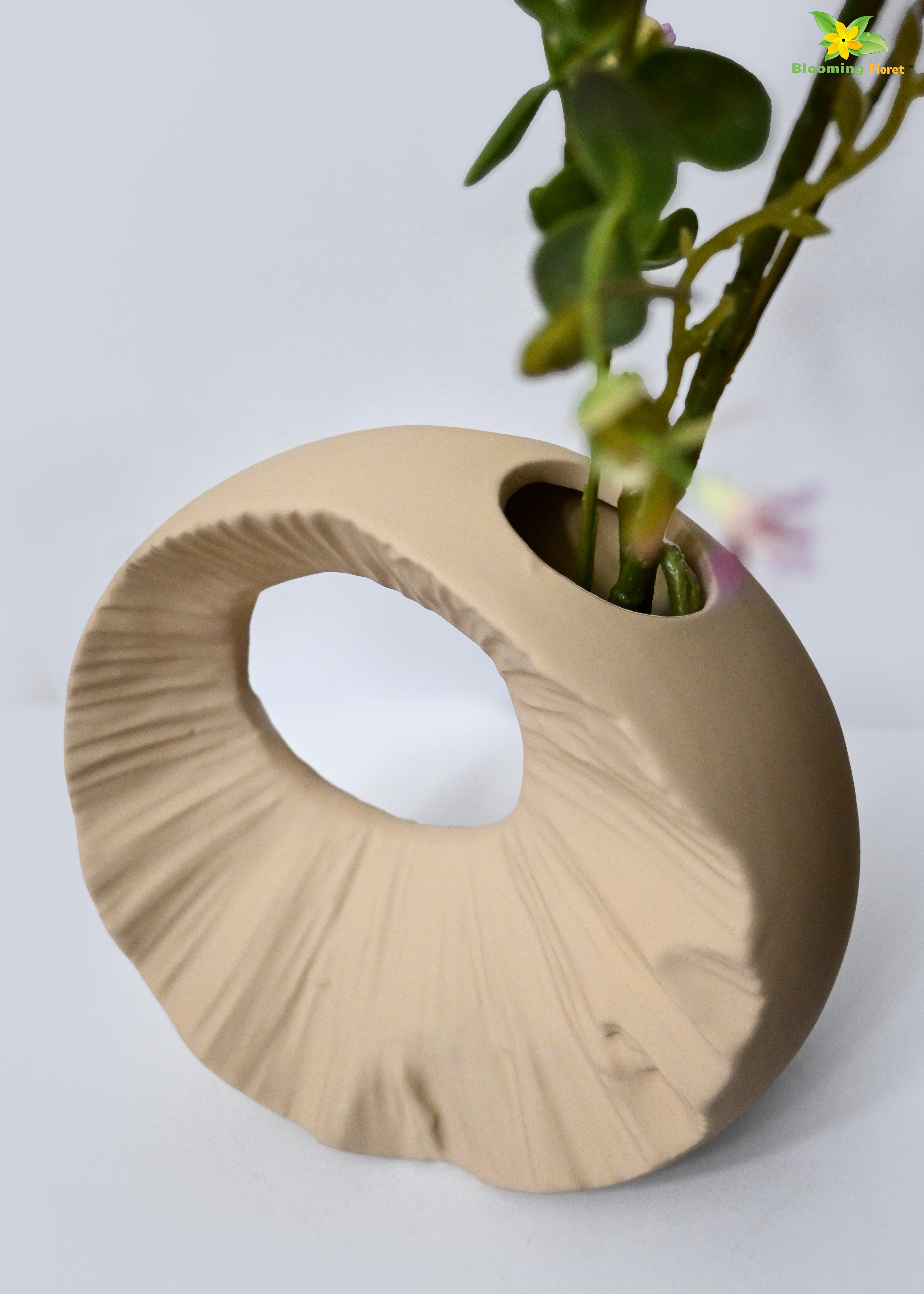 Round Hollow Ceramic Vase