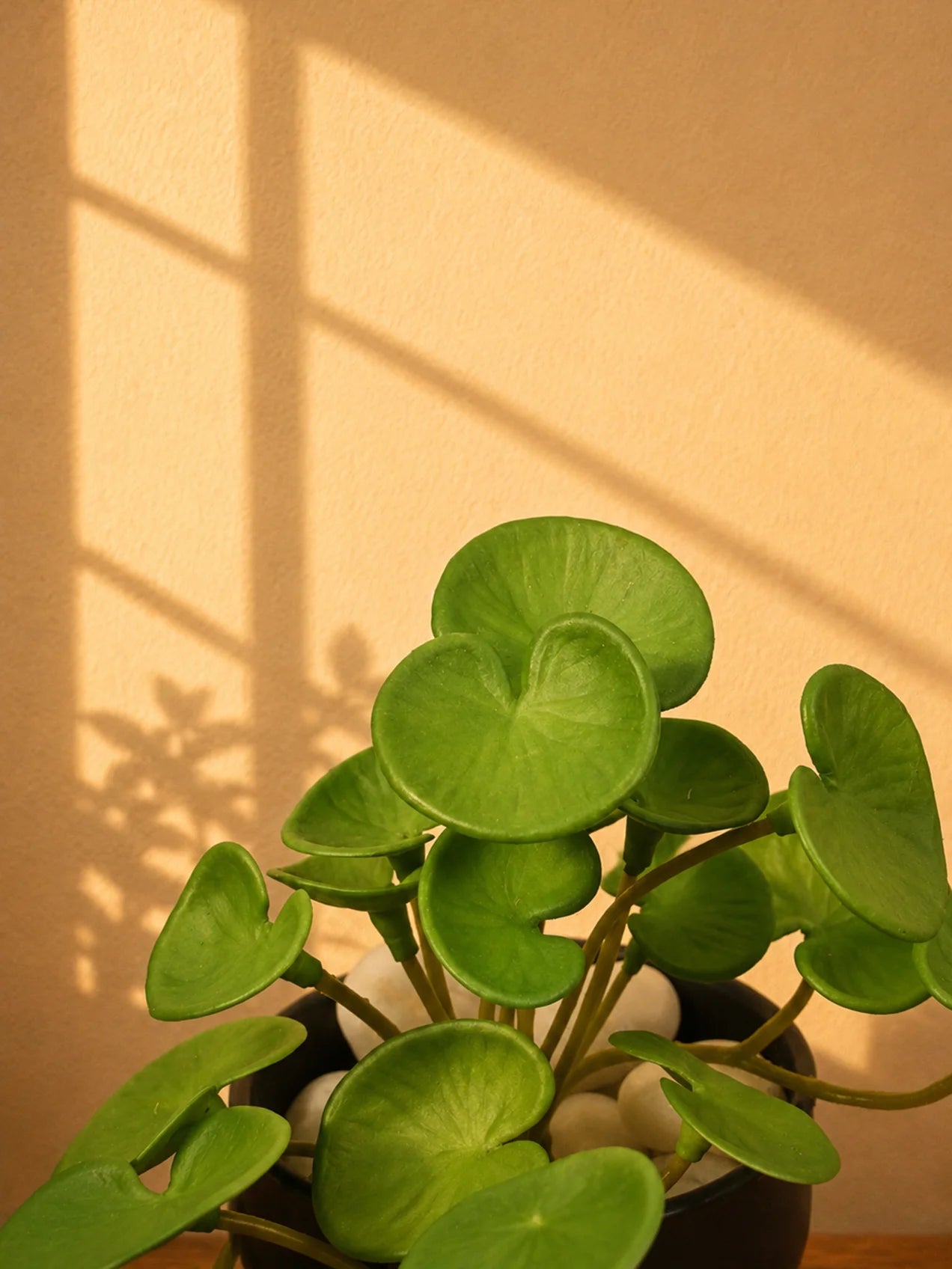 Lush Leaf Pennywort Artificial Succulent | Light Green | 14 cm | Set of 3