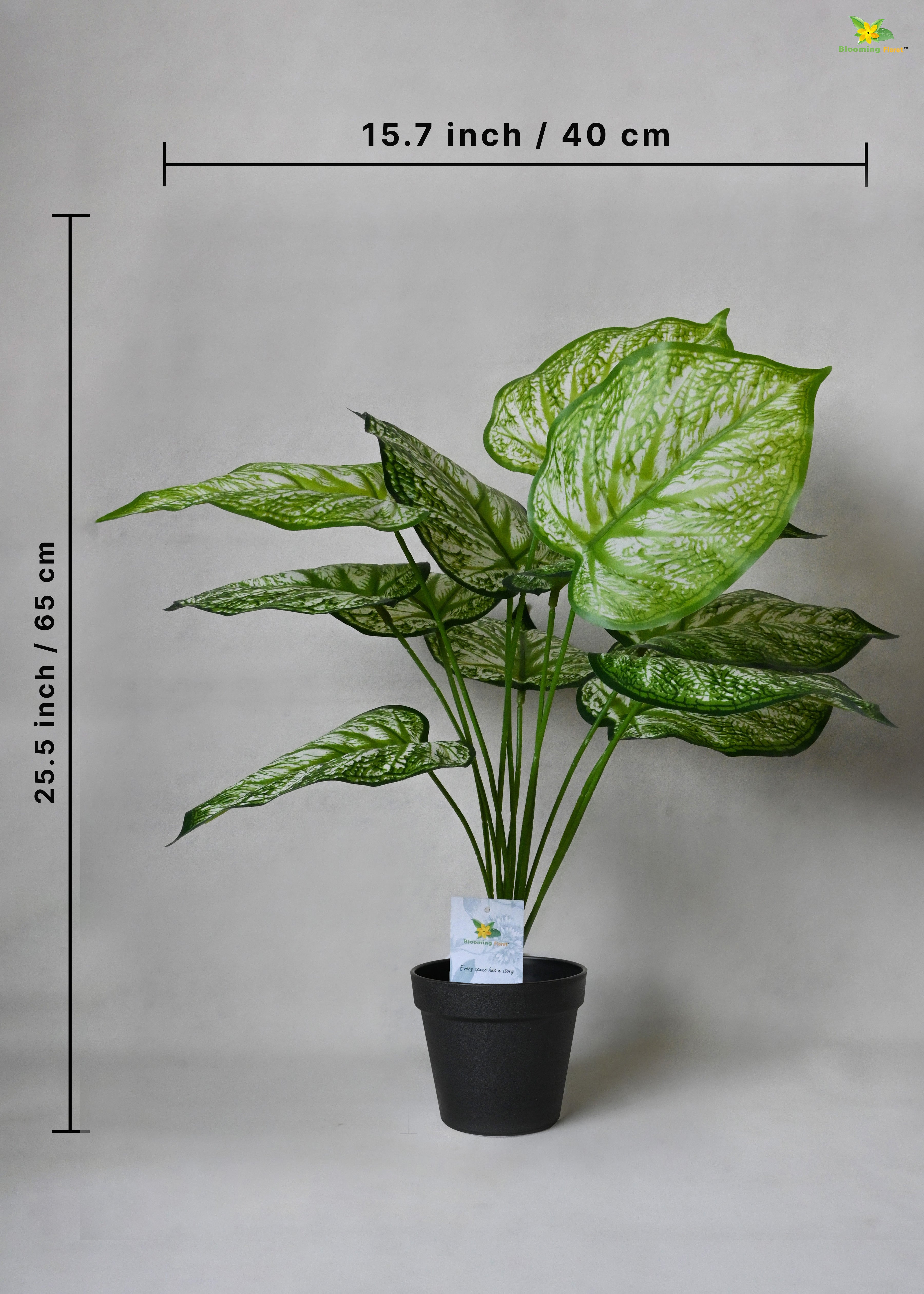 Artificial Devil's Ivy Plant for Decor 12 Leaves with Basic Pot | 65 cm