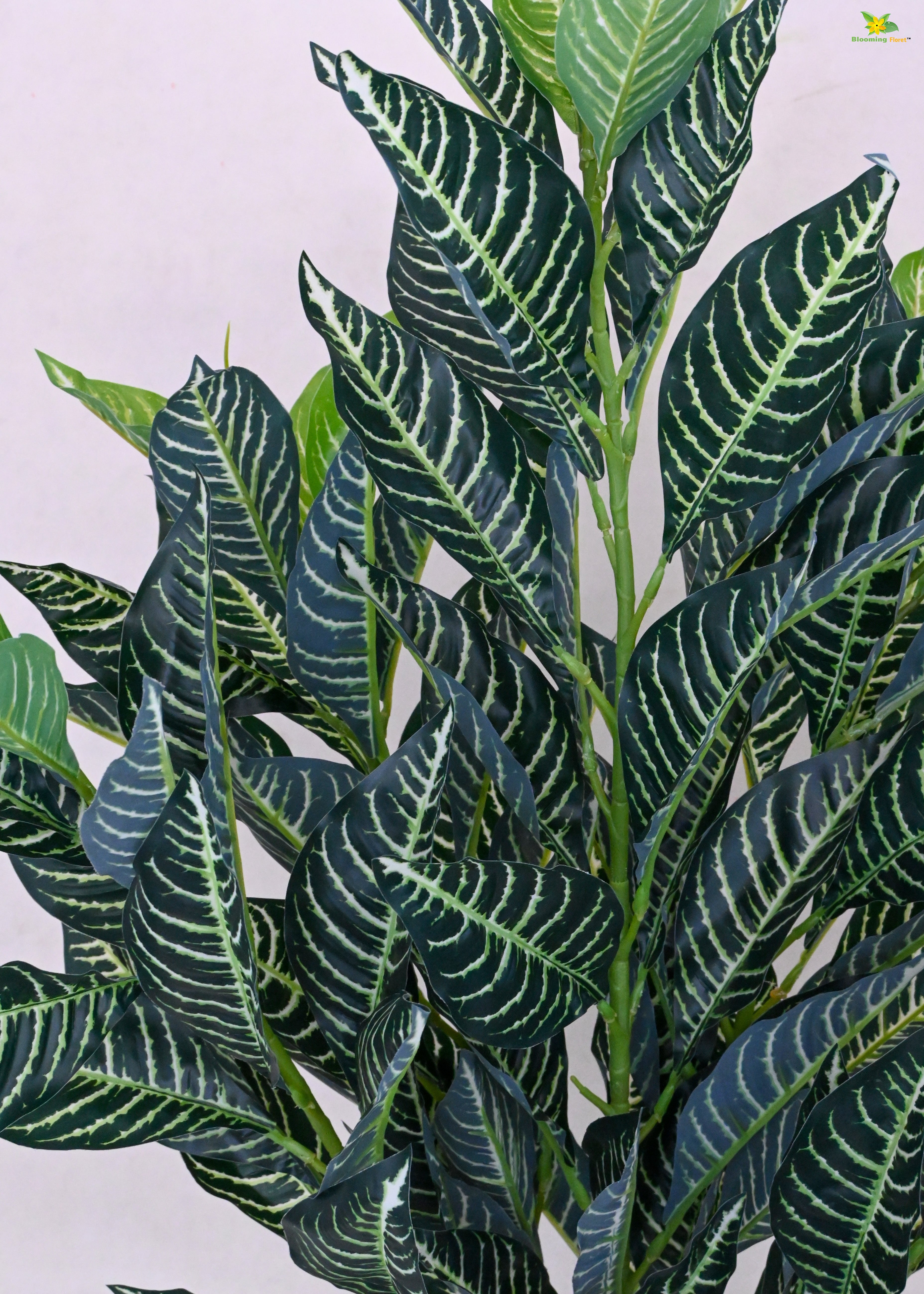 Artificial White Veined Croton Plant | 104 Leaves with Basic Pot | 85 cm