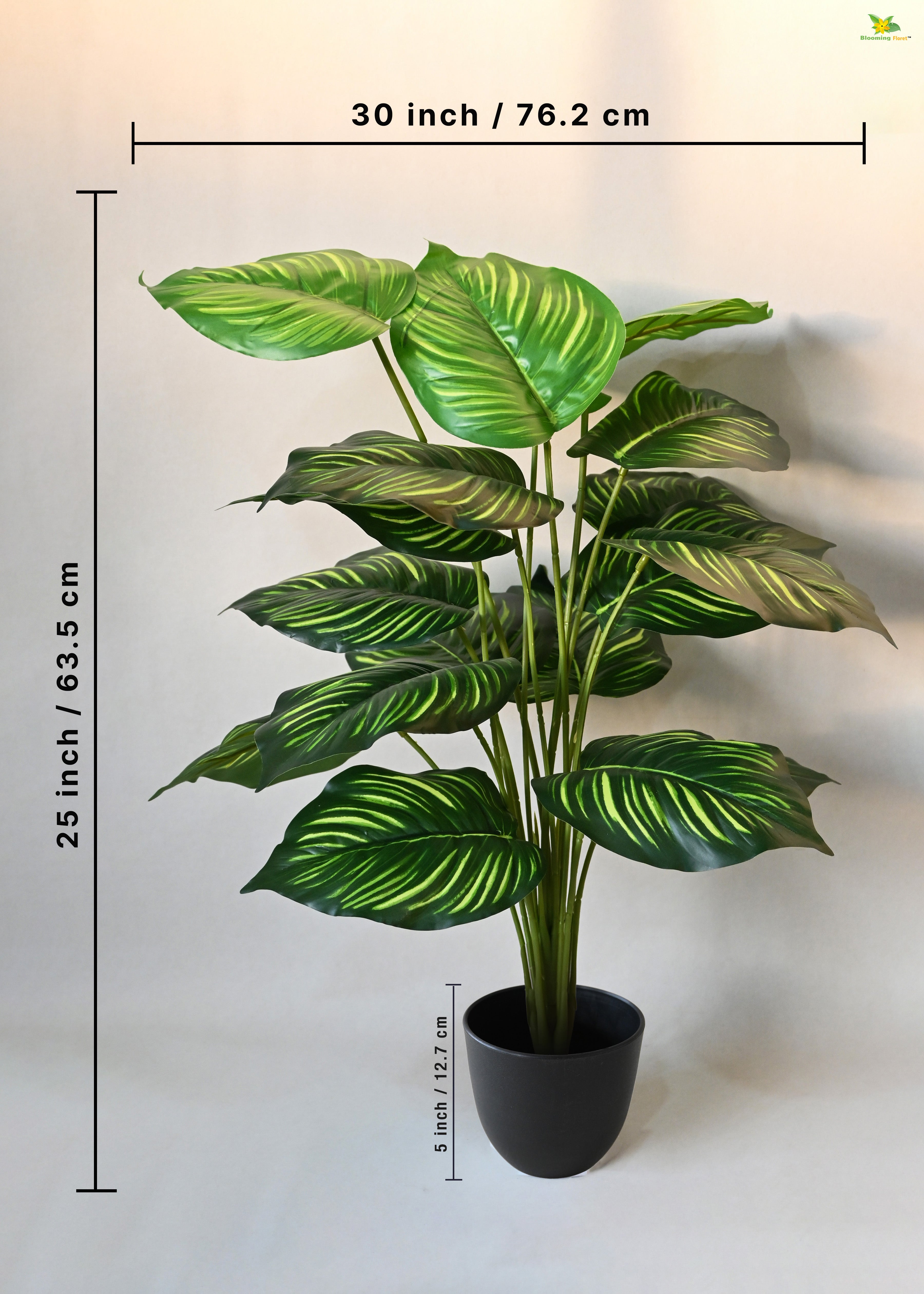 Artificial Calathea Orbifolia Plant for Decor 18 Leaves with Basic Pot | 63.5 cm